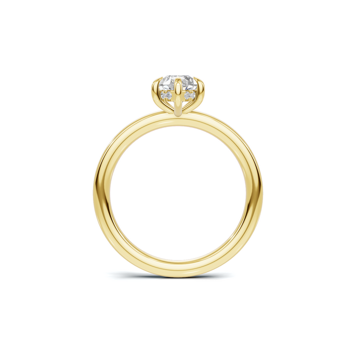 Yellow Gold